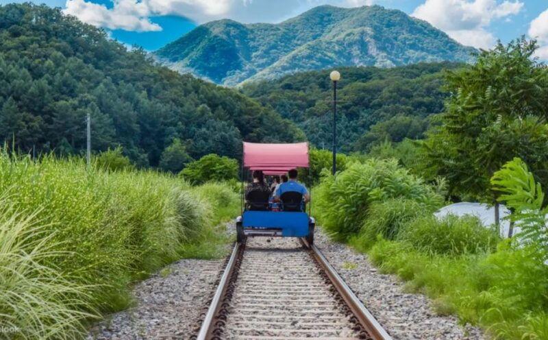 from-seoul-nami-island-korean-garden-rail-bike-day-trip