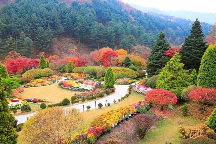 from-seoul-nami-island-korean-garden-rail-bike-day-trip