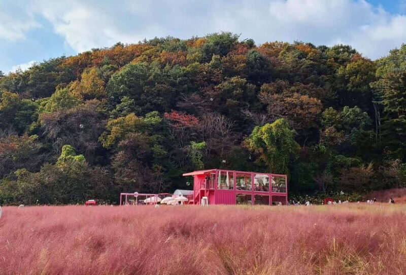 From Seoul: Pocheon, Sanjung Lake and Bidulginang Fall Trip - Exploring the Itinerary: What Makes Each Stop Special