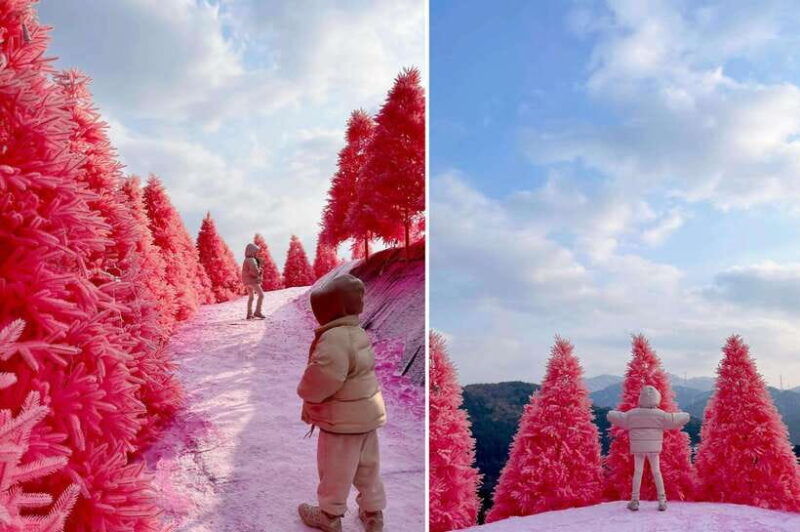 from-seoul-pocheon-sanjung-lake-and-bidulginang-fall-trip