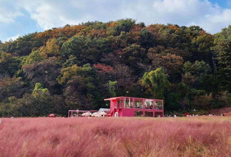 from-seoul-pocheon-sanjung-lake-and-bidulginang-fall-trip