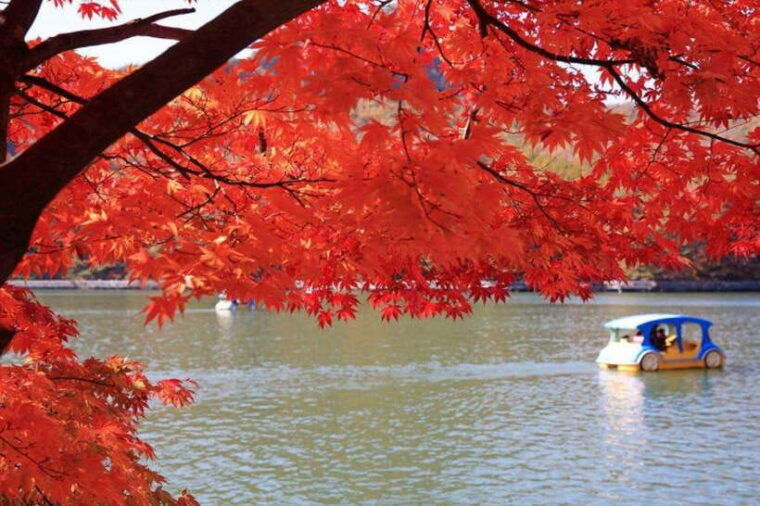 from-seoul-pocheon-sanjung-lake-and-bidulginang-fall-trip