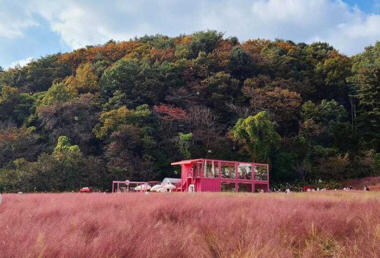 from-seoul-pocheon-sanjung-lake-and-bidulginang-fall-trip