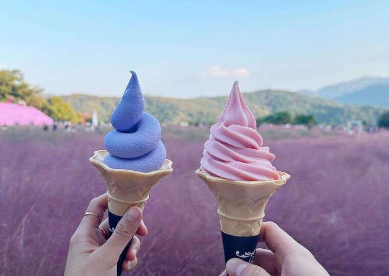 from-seoul-pocheon-sanjung-lake-and-bidulginang-fall-trip