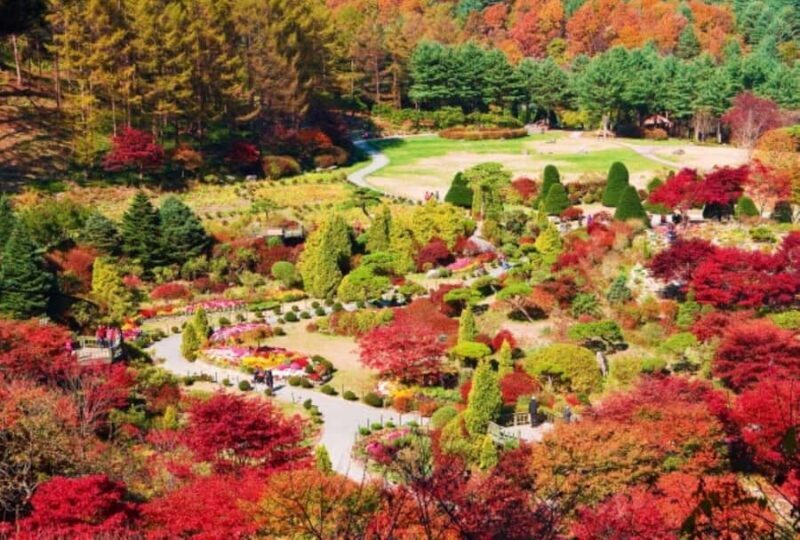 From Seoul: Private Custom Gapyeong Tour with English Driver - What to Expect from the Private Gapyeong Tour