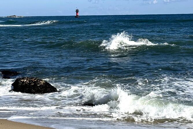 From Seoul: Private Day Tour to Gangneung - Why This Tour Offers Real Value