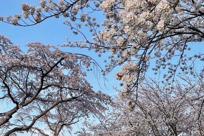 From Seoul: Private Day Tour to Gangneung - Who Should Consider This Tour?