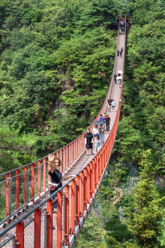 From Seoul: Private DMZ Tour with Optional Suspension Bridge - Practical Aspects and Value