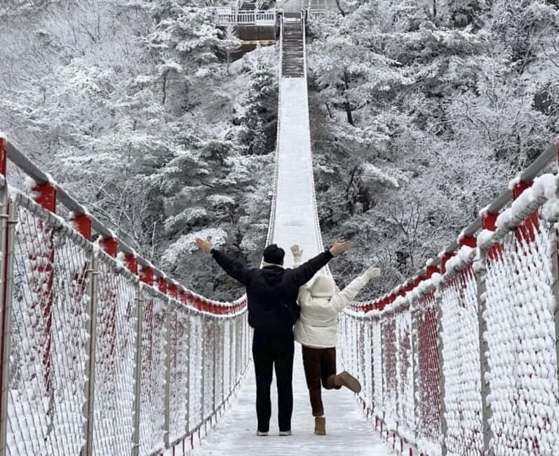 From Seoul: Romantic Winter Wonderland Tour - Key Points