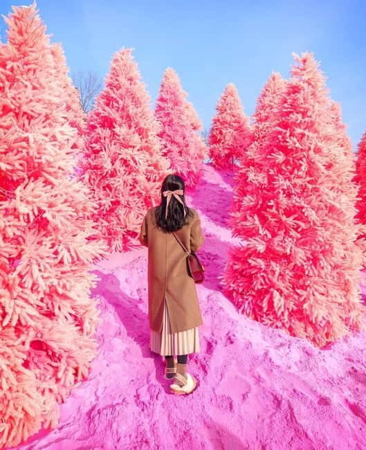 From Seoul: Romantic Winter Wonderland Tour - Authenticity and Value