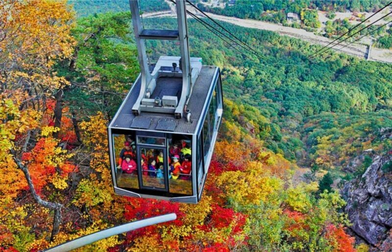 From Seoul: Seoraksan Mountain with Cable Car- Shuttle Bus - Key Points