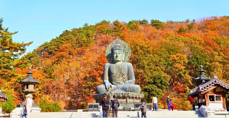 From Seoul: Seoraksan Mountain with Cable Car- Shuttle Bus - Practical Tips for Travelers