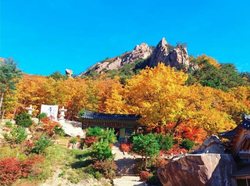 From Seoul: Seoraksan Mountain with Cable Car- Shuttle Bus - FAQs