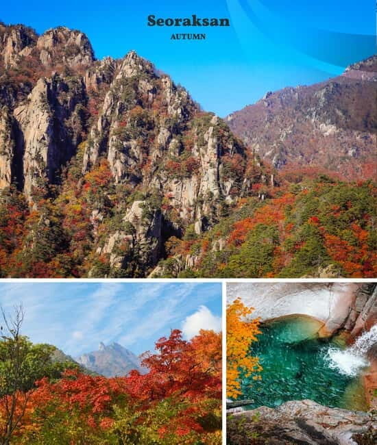 From Seoul: Seoraksan National Park and Nami Island Day Trip - What’s Included and What to Consider