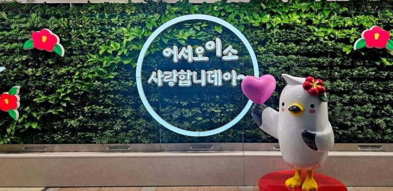 From Seoul: Tongyeong Anchovy 2 day Tour - Key Points