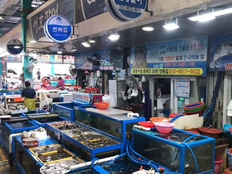 From Seoul: Tongyeong Anchovy 2 day Tour - Practical Details & Value