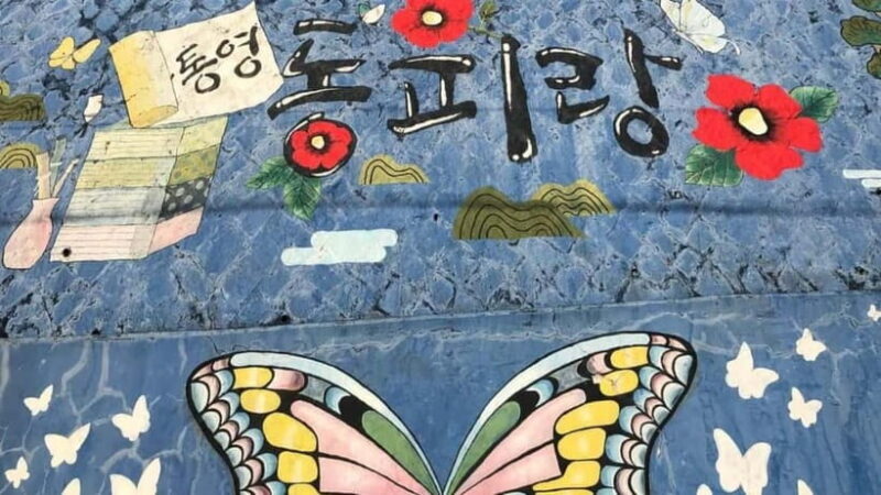 From Seoul: Tongyeong Anchovy 2 day Tour - FAQ