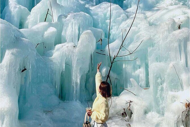 From Seoul : Winter One Day Tour in Pocheon - A Deeper Dive into the Experience