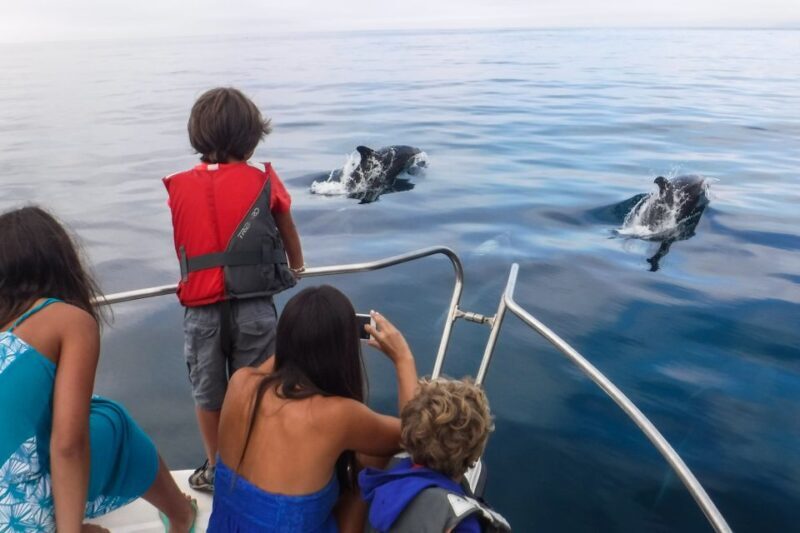 From Sesimbra: Arrábida Dolphin Watching Boat Tour - Final Thoughts: Who Will Love This Tour?
