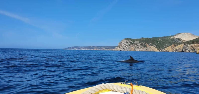 From Sesimbra: Ribeira do Cavalo Beach and Caves Boat Tour - Final Thoughts