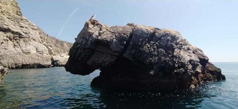 From Sesimbra: Ribeira do Cavalo Beach and Caves Boat Tour - Who Might Want to Skip It?