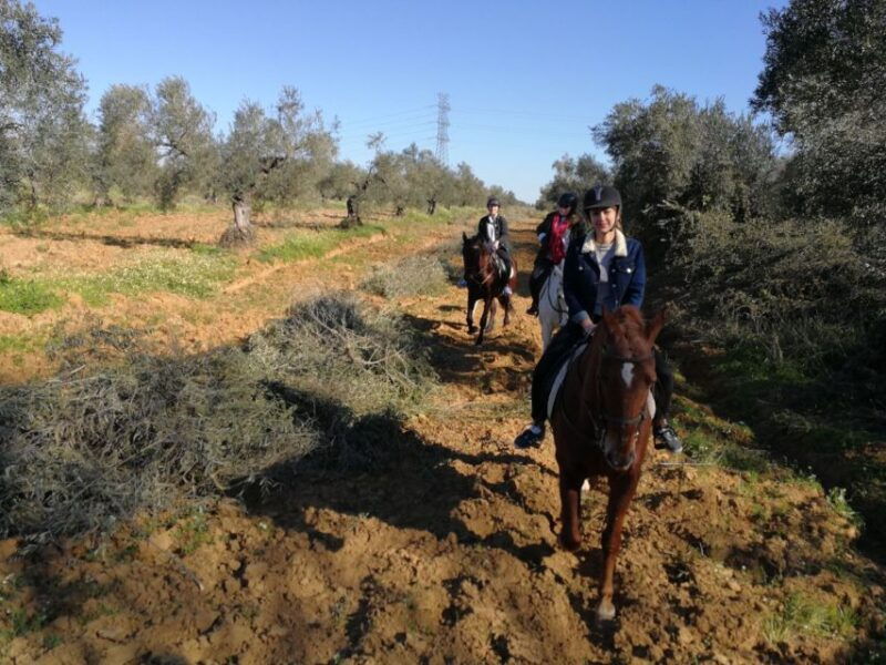 from-seville-andalusian-horseback-ride