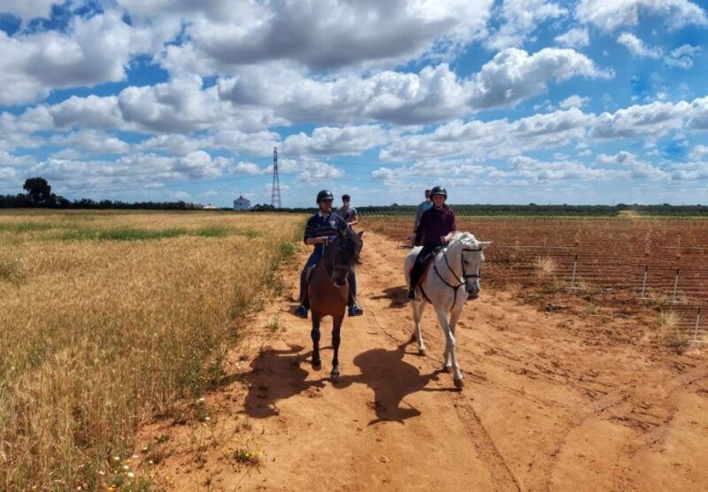 from-seville-andalusian-horseback-ride