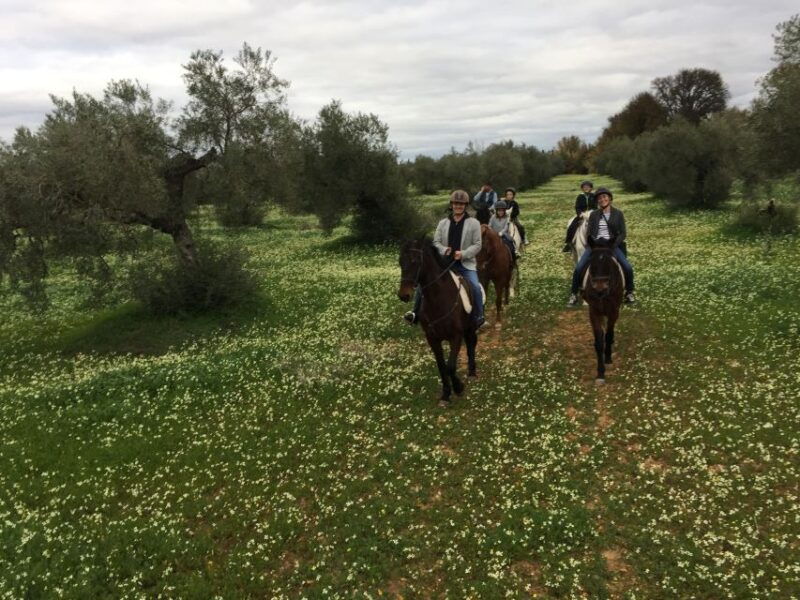 from-seville-andalusian-horseback-ride