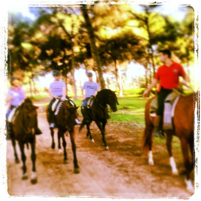 from-seville-andalusian-horseback-ride