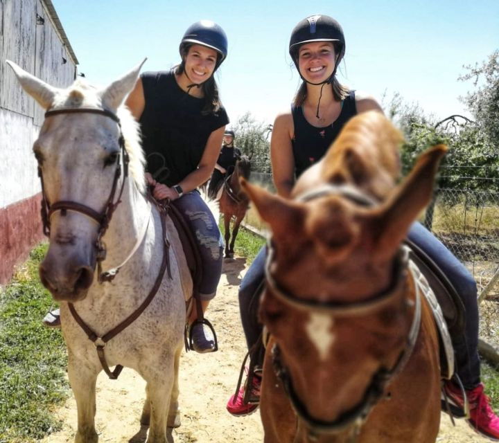 from-seville-andalusian-horseback-ride