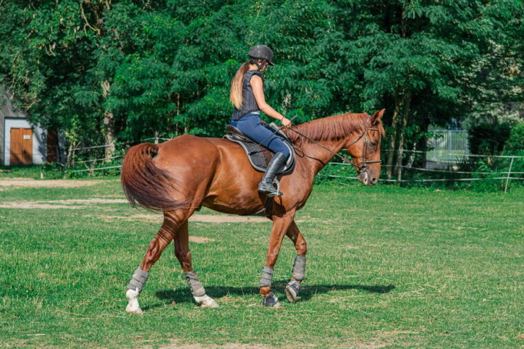 from-seville-andalusian-horseback-ride