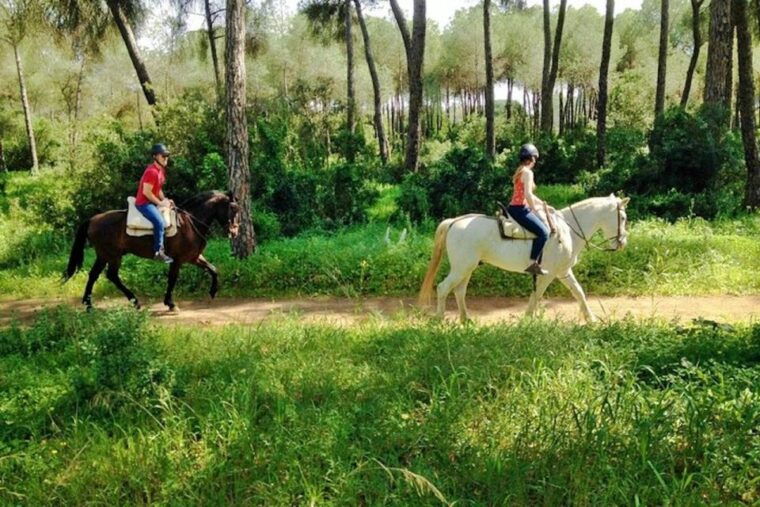 from-seville-andalusian-horseback-ride