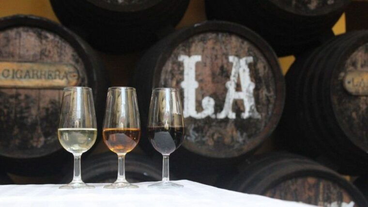 from-seville-cadiz-jerez-sherry-tasting-day-trip