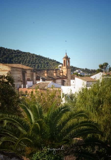 From Seville: Cerro del Hierro Private Hike with Picnic - Introduction