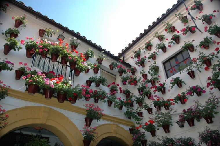from-seville-cordoba-private-day-trip-2