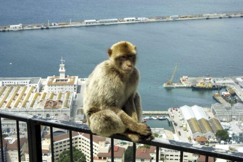 from-seville-day-trip-to-gibraltar