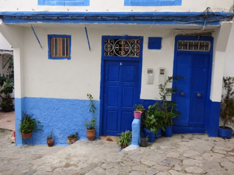 From Seville: Day Trip to Tangier with Lunch - The Return Journey and Final Thoughts