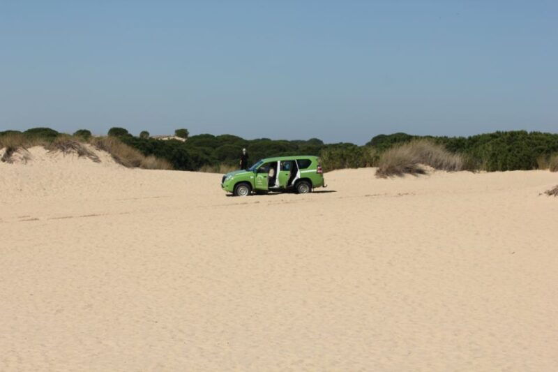 from-seville-donana-el-rocio-and-matalascanas-beach-tour