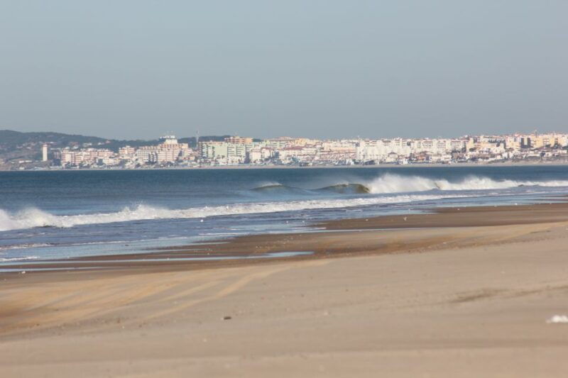 from-seville-donana-national-park-full-day-private-tour