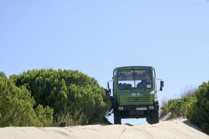 from-seville-donana-natural-park-el-rocio-and-matalascanas