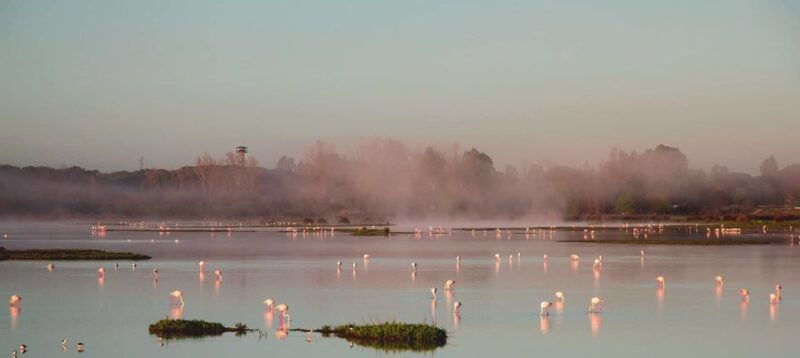 from-seville-donana-natural-park-el-rocio-and-matalascanas