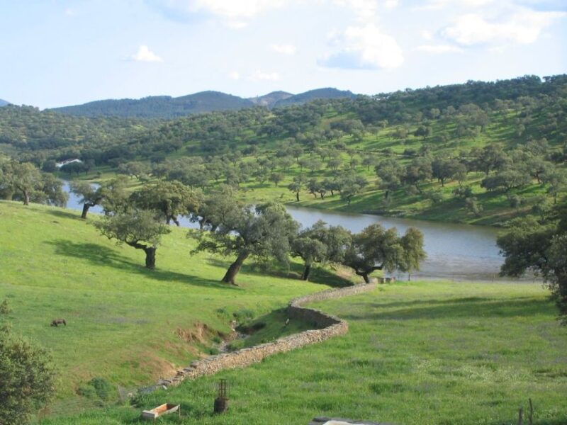from-seville-full-day-aracena-rio-tinto-mines-tour