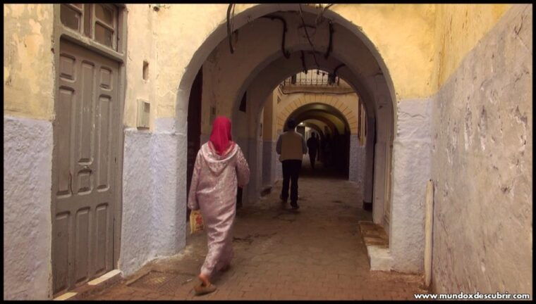 from-seville-full-day-tour-to-tangier