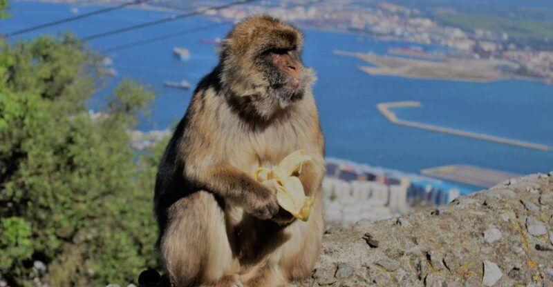 from-seville-full-day-trip-to-gibraltar