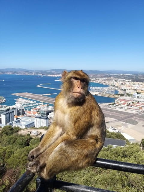 from-seville-full-day-trip-to-gibraltar