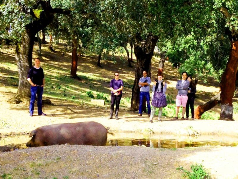 from-seville-iberian-ham-full-day-tour-to-aracena