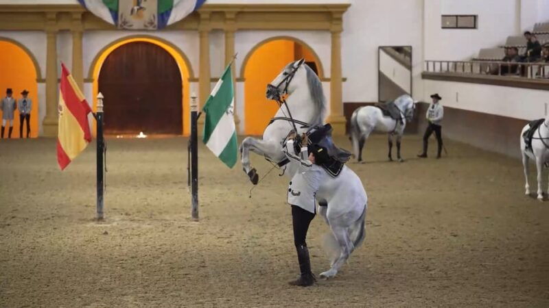 from-seville-jerez-cadiz-and-andalusian-horses