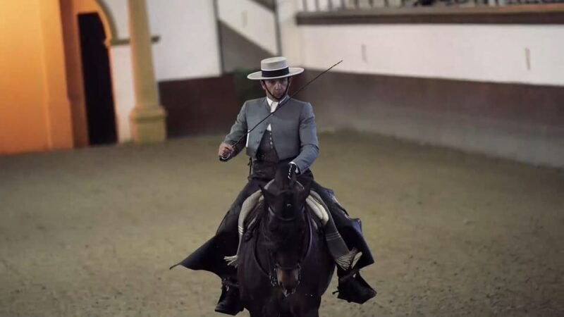 from-seville-jerez-cadiz-and-andalusian-horses