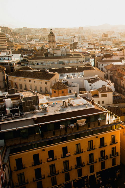 from-seville-private-excursion-to-malaga-with-entrance-fees-to-monuments
