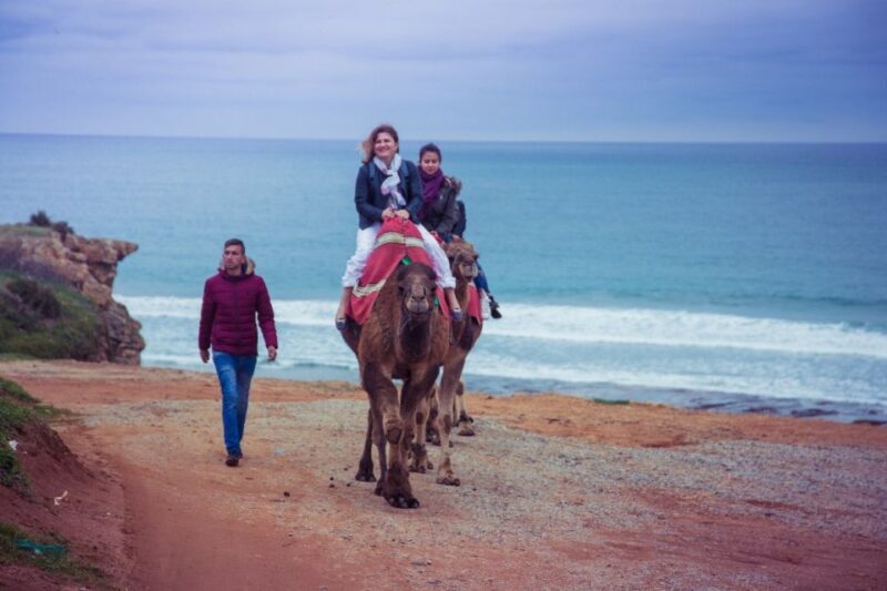 From Seville: Tangier Day Trip with Local Guide and Lunch - Overview of the Tour Experience